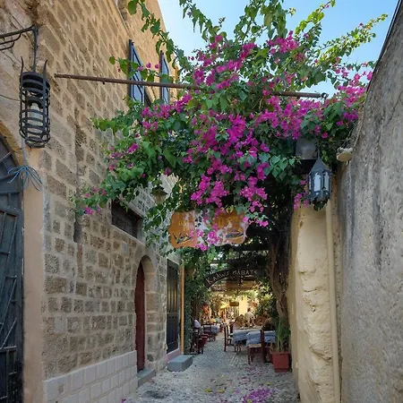 Appartement Grand Master *